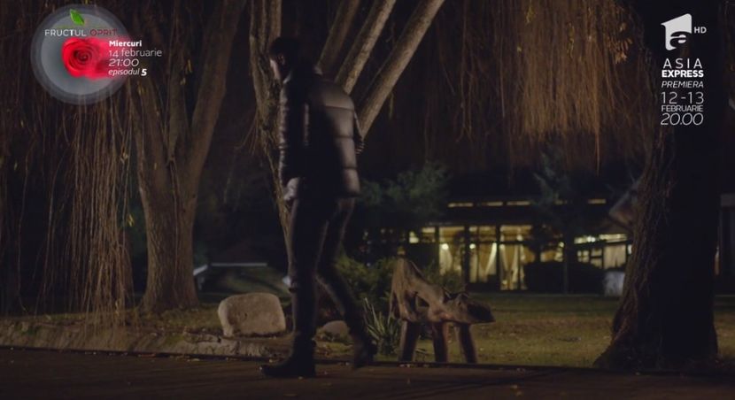 bandicam 2018-10-29 16-36-43-545 - 01 fructul oprit 01-04 - 3