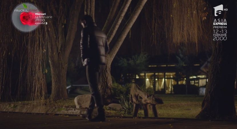 bandicam 2018-10-29 16-36-44-120 - 01 fructul oprit 01-04 - 3