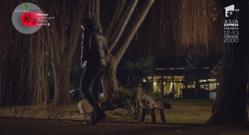 bandicam 2018-10-29 16-36-44-402 - 01 fructul oprit 01-04 - 3