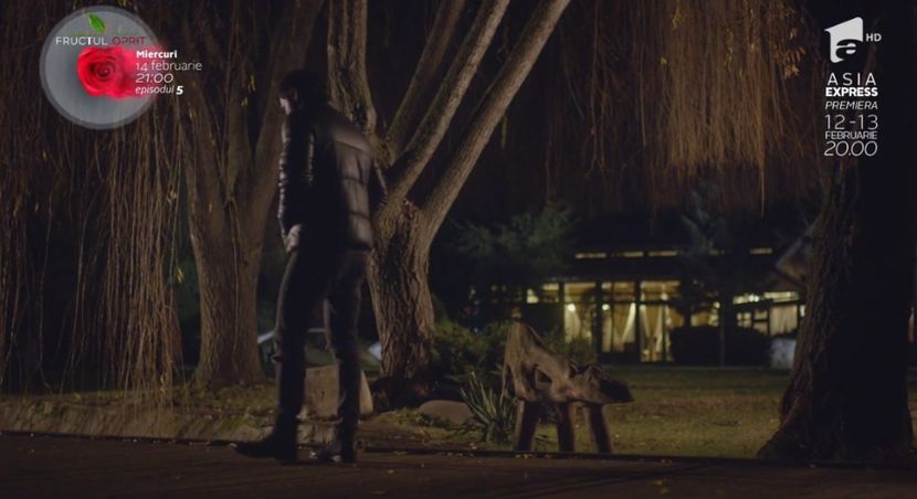 bandicam 2018-10-29 16-36-44-655 - 01 fructul oprit 01-04 - 3