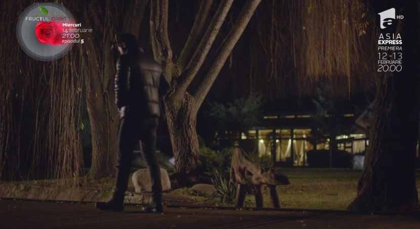 bandicam 2018-10-29 16-36-44-922 - 01 fructul oprit 01-04 - 3