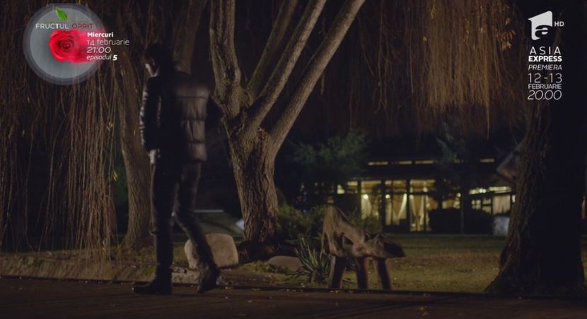 bandicam 2018-10-29 16-36-45-176 - 01 fructul oprit 01-04 - 3