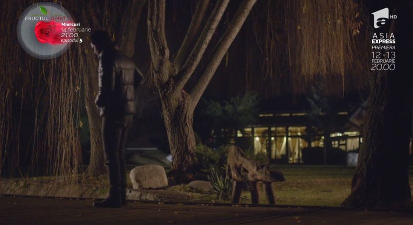 bandicam 2018-10-29 16-36-45-422 - 01 fructul oprit 01-04 - 3