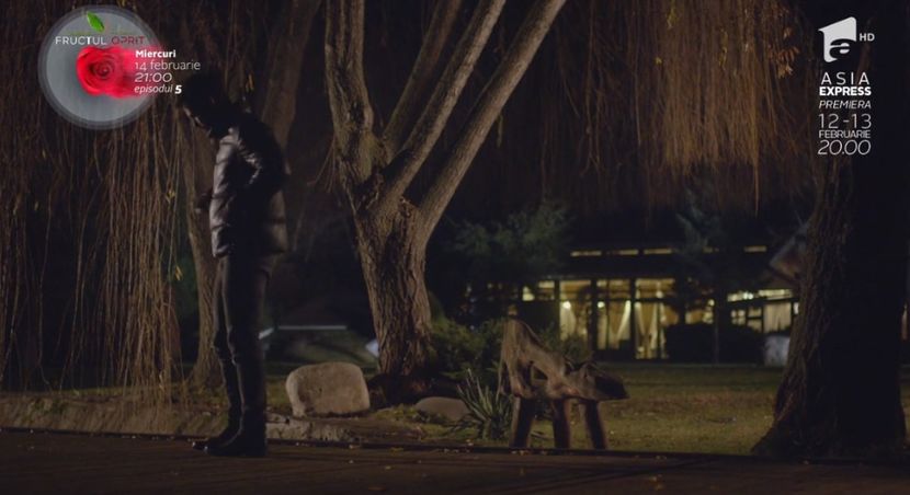 bandicam 2018-10-29 16-36-45-740 - 01 fructul oprit 01-04 - 3