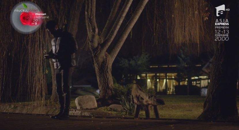 bandicam 2018-10-29 16-36-46-077 - 01 fructul oprit 01-04 - 3