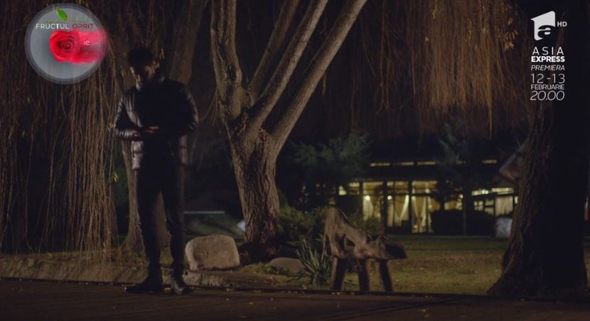 bandicam 2018-10-29 16-36-46-380 - 01 fructul oprit 01-04 - 3