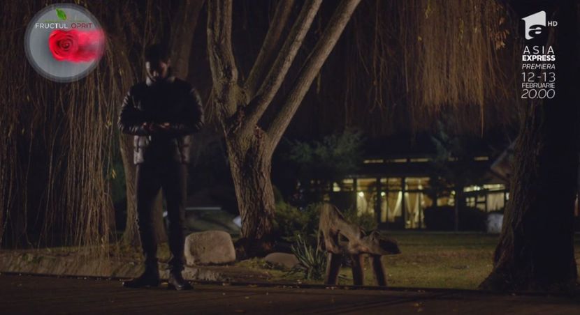 bandicam 2018-10-29 16-36-46-649 - 01 fructul oprit 01-04 - 3