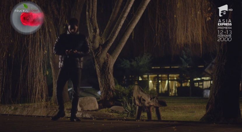 bandicam 2018-10-29 16-36-46-901 - 01 fructul oprit 01-04 - 3