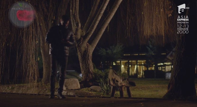 bandicam 2018-10-29 16-36-47-204 - 01 fructul oprit 01-04 - 3