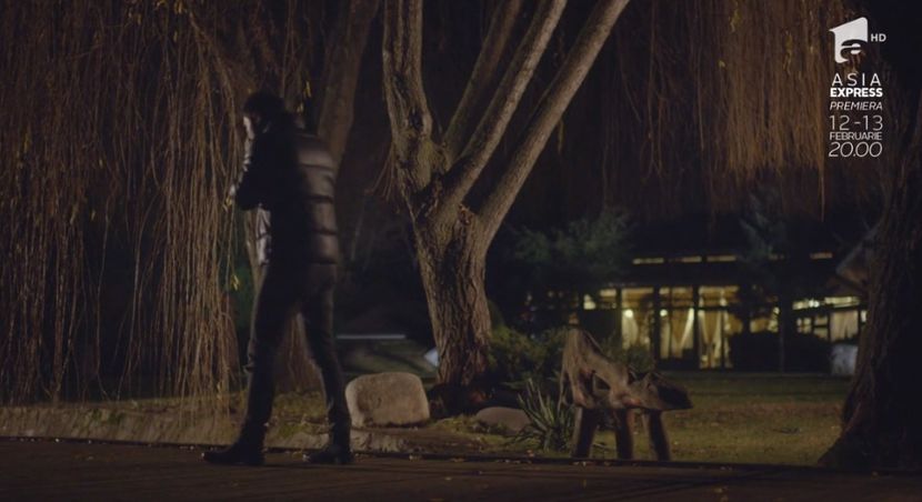 bandicam 2018-10-29 16-36-57-686 - 01 fructul oprit 01-04 - 3