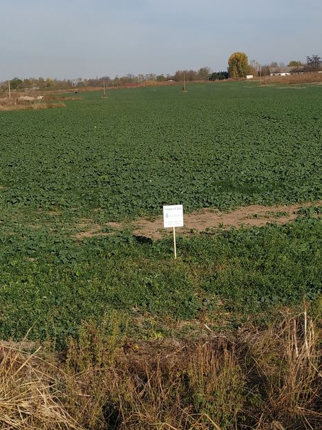  - Rapita la Pietrosani TR 1L la ha 12 octombrie 2018