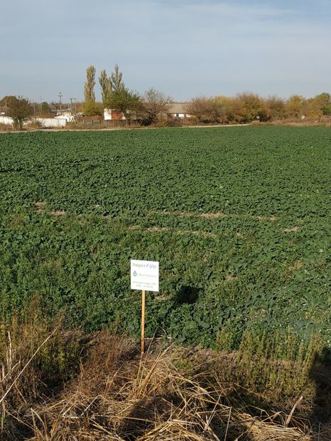  - Rapita la Pietrosani TR 1L la ha 12 octombrie 2018