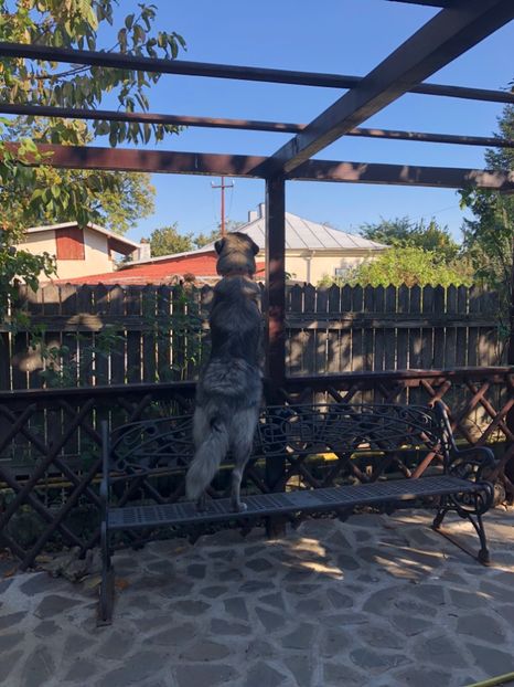 SEPT.2018 - MARA DE CROITORU