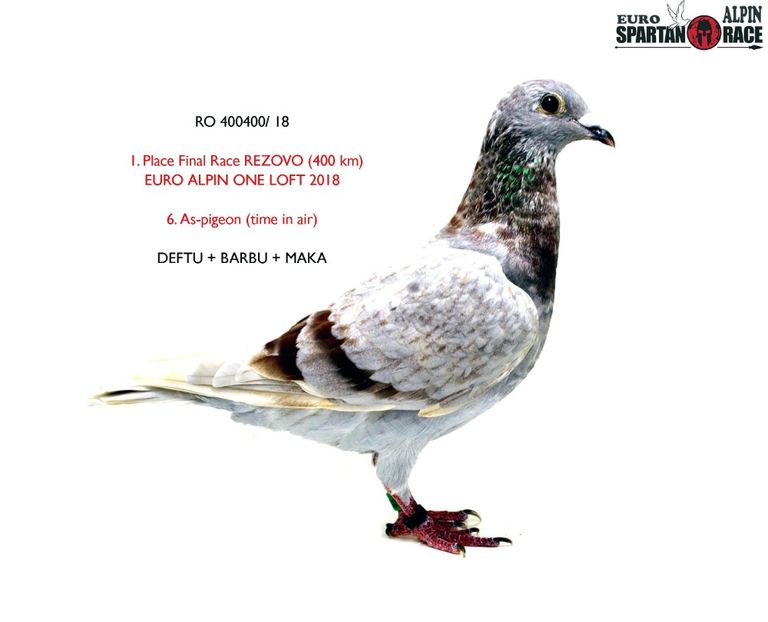 frate bun cu Erik - Erik