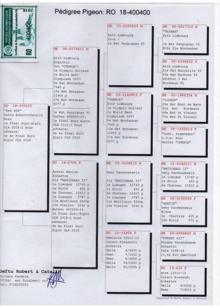 pedigree frate bun cu Erik - Erik