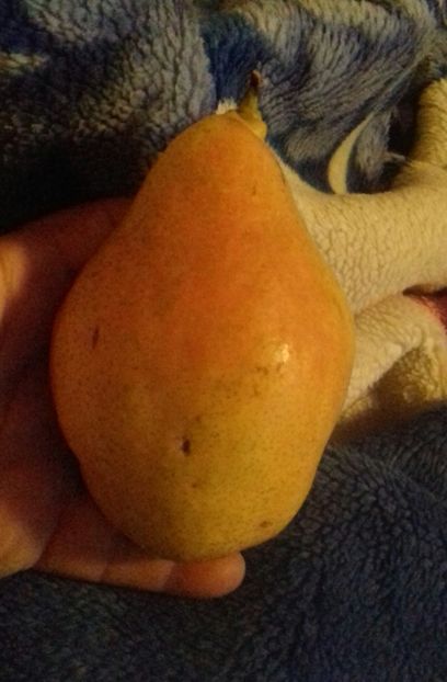 Maturare in casa 15 octombrie , mai trebuia lăsată - Novembra