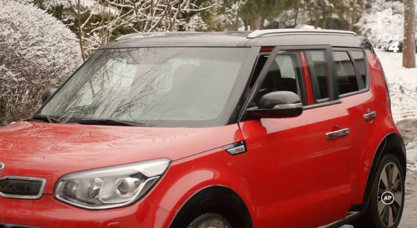 bandicam 2018-10-30 16-45-05-824 - 01 fructul oprit 01-09 - 6