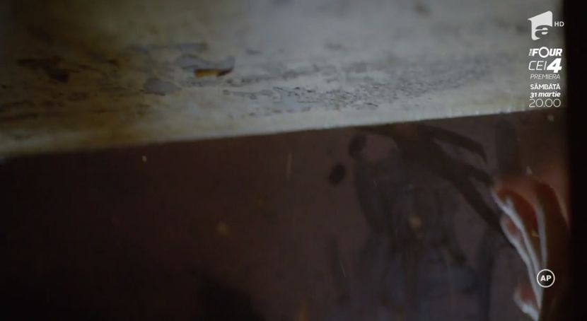 bandicam 2018-10-30 17-50-20-725 - 01 fructul oprit 01-10-518