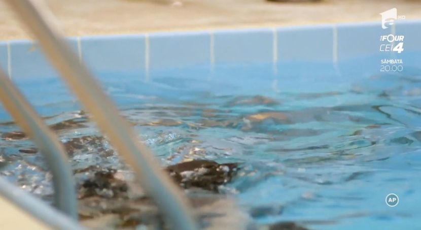 bandicam 2018-10-30 21-00-29-030 - 01 fructul oprit 01-14-5-pi