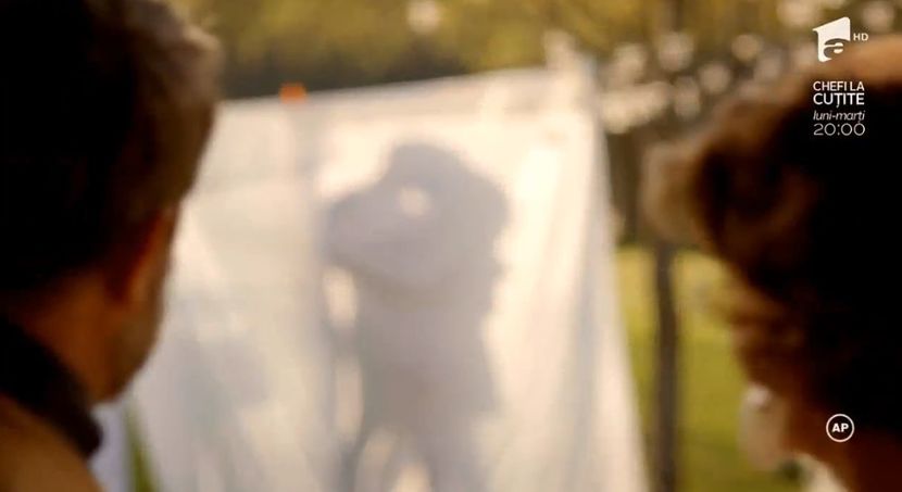 bandicam 2018-10-30 22-07-40-731 - 01 fructul oprit 01-16