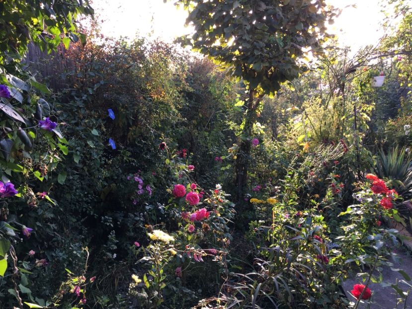 CE3F54DE-C38F-4DD8-B509-A19916527313 - Octombrie