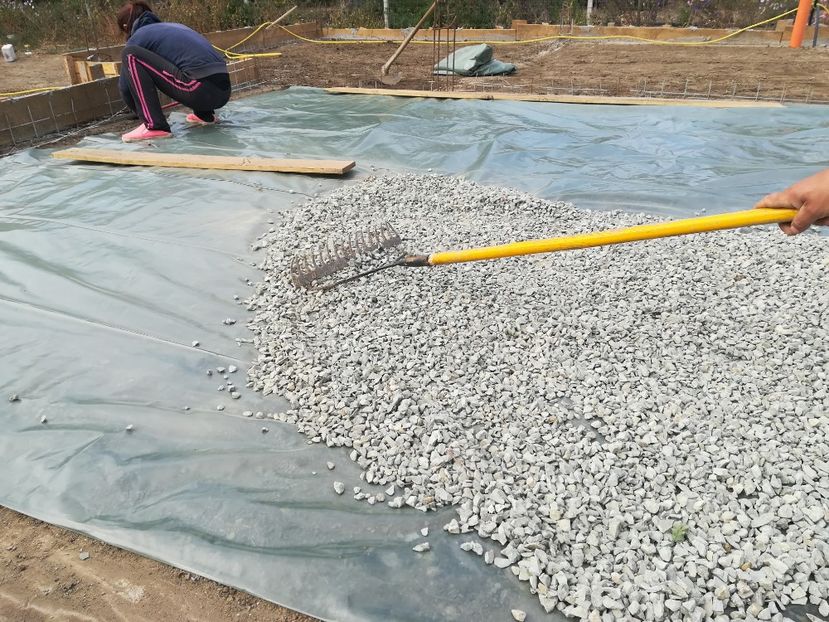  - Cartier in Ciocarlia