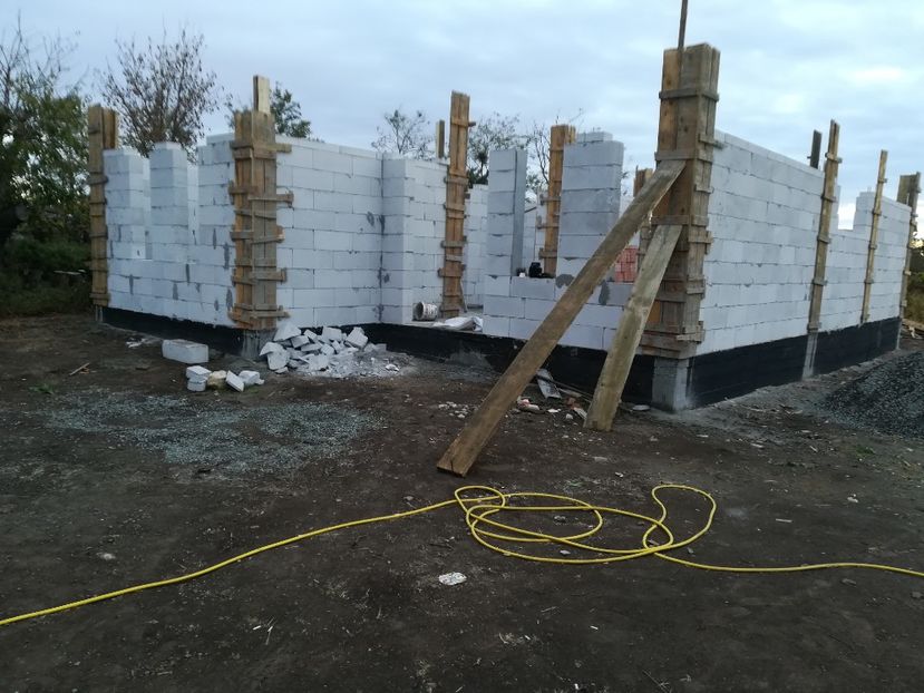  - Cartier in Ciocarlia