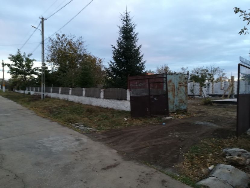  - Cartier in Ciocarlia