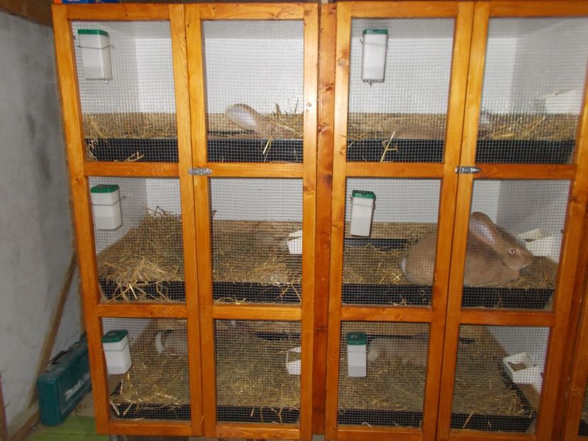  - A---RENOVARE ADAPOST