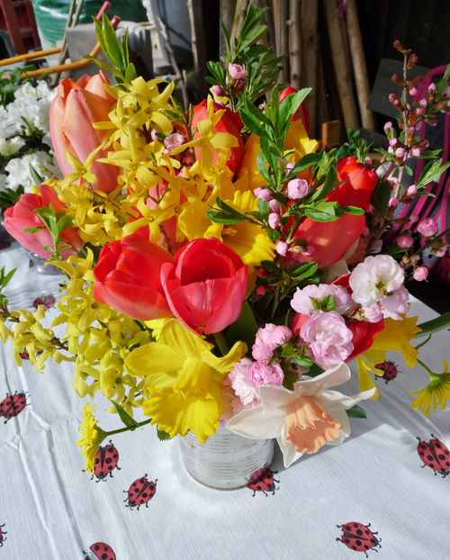 © - 01 - Floristica