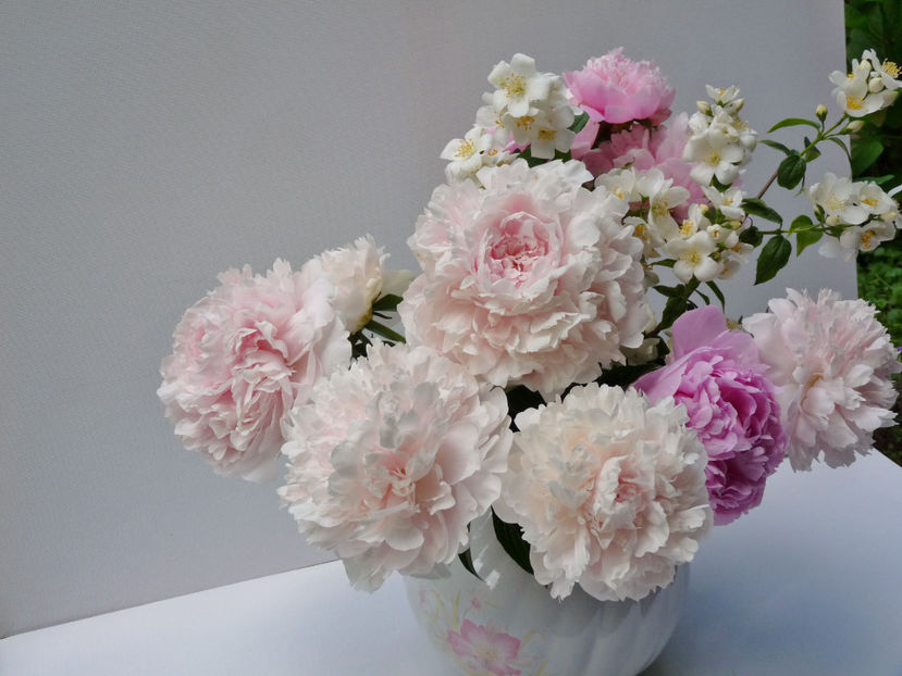 © - 01 - Floristica