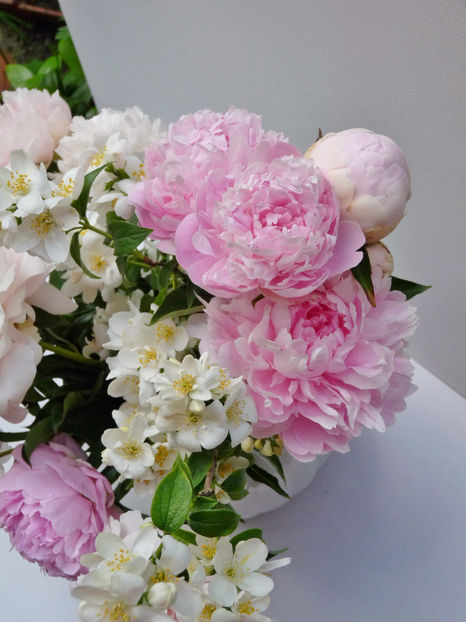 © - 01 - Floristica