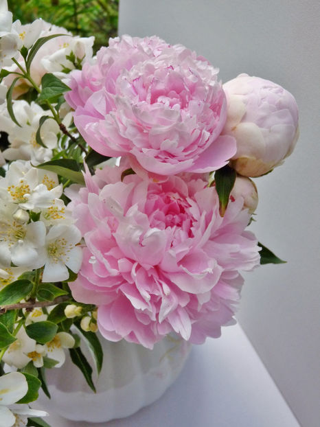 © - 01 - Floristica