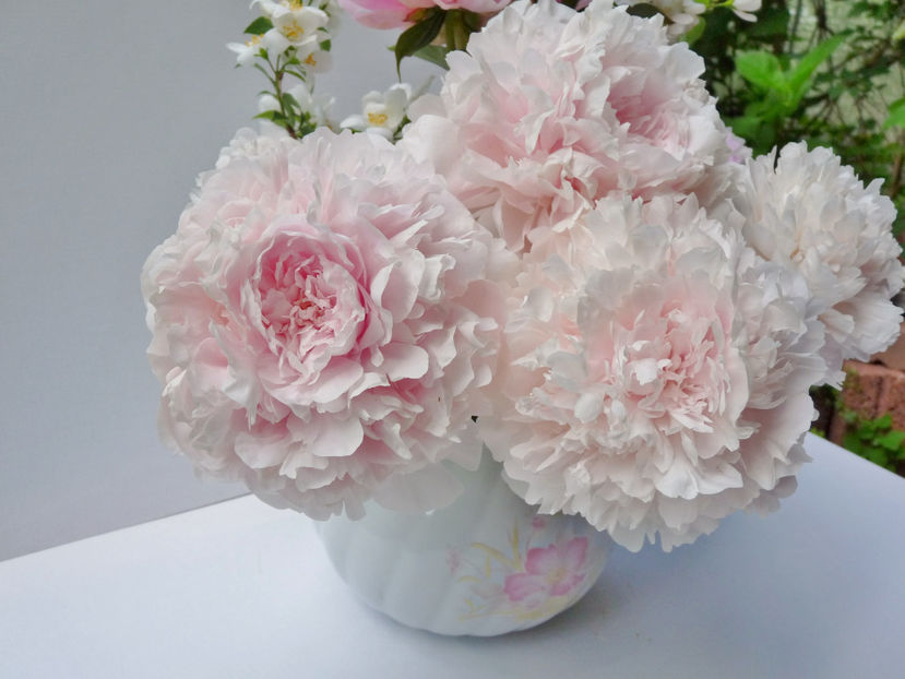 © - 01 - Floristica