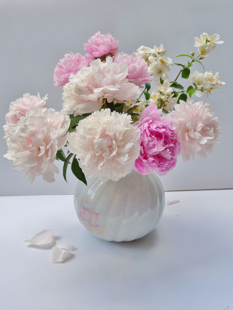 © - 01 - Floristica