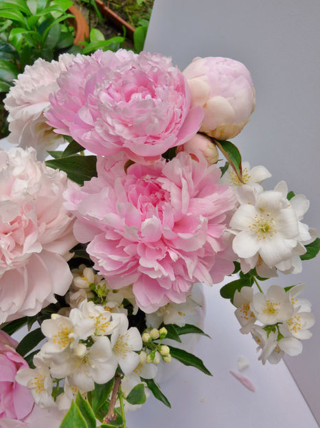 © - 01 - Floristica