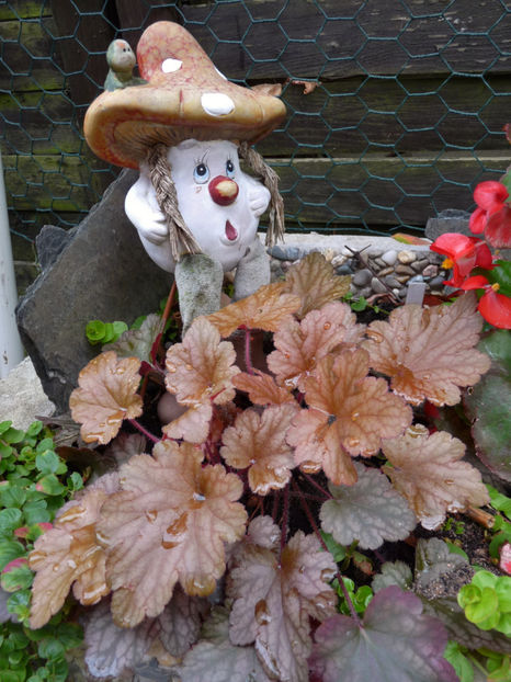  - 2018 - 03 - Toamna