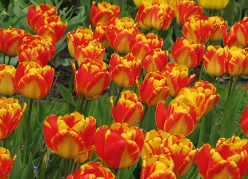 Banja Luka T - Achizitii toamna 2018