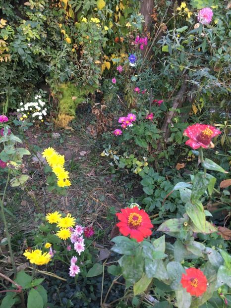 6A938B2C-AE34-4C3F-9A91-1C9B34F7AB60 - Octombrie