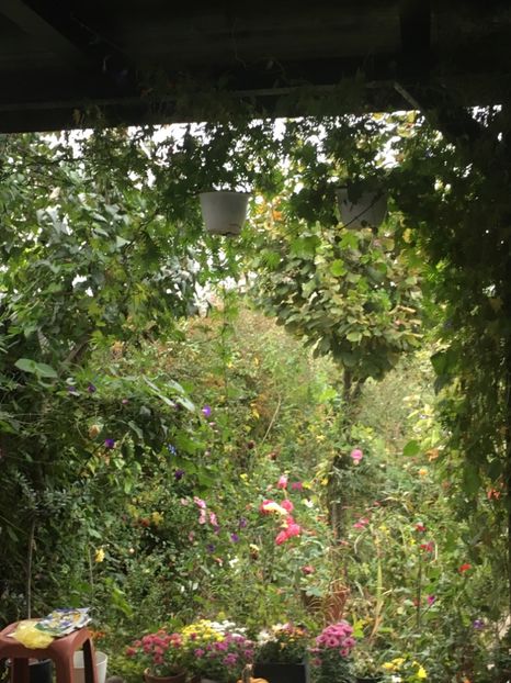 A22EE324-8142-461D-ACC4-2E667A88F2F0 - Octombrie