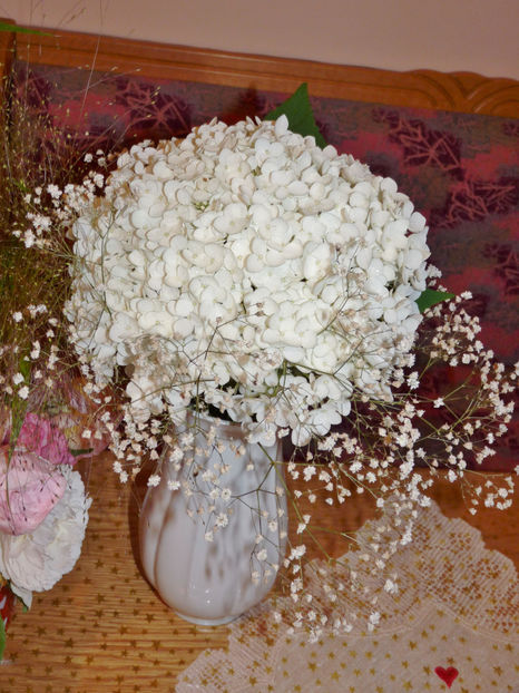 © - 01 - Floristica