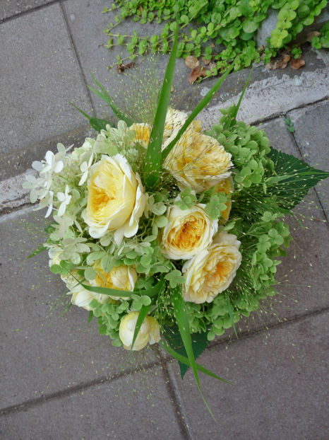 © - 01 - Floristica