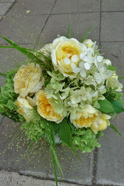 © - 01 - Floristica