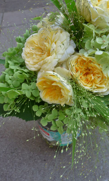 © - 01 - Floristica