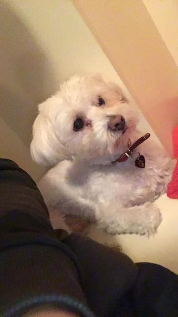 Eurovision 2018 - 2018 Eurovision Song Contest Part 7