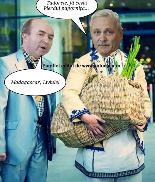  - Poze haioase pamflet