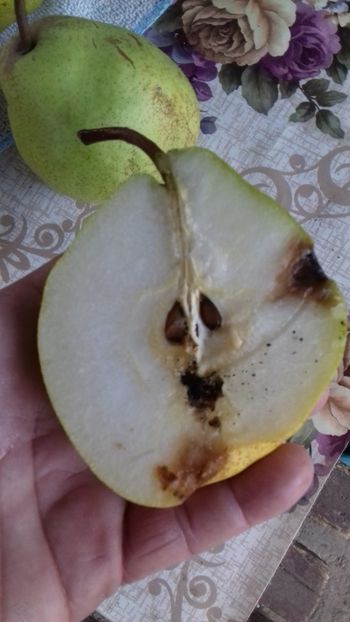  - Păr de la Ciprian