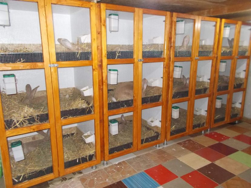 received_350286629076631 - A---RENOVARE ADAPOST