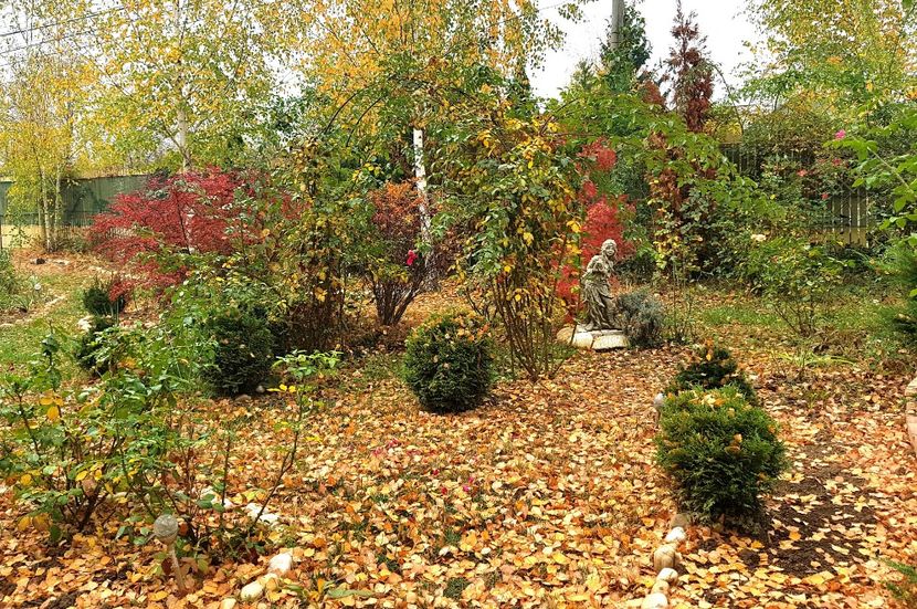  - 2018_Idilic garden iulie-oct