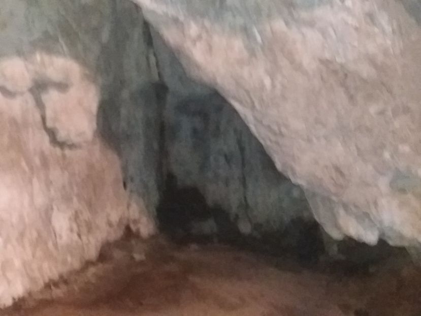  - Peștera Bolii noiembrie 2018